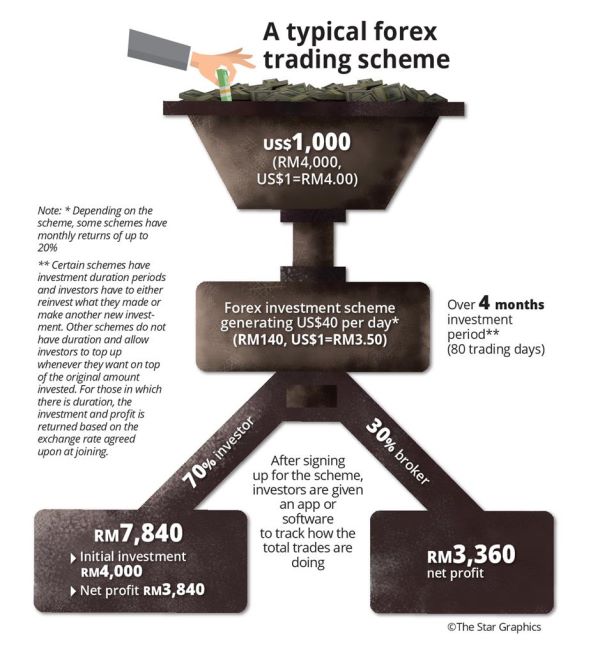 A typical forex scheme