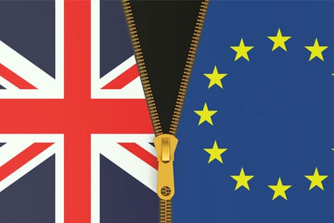 Brexit Zipped