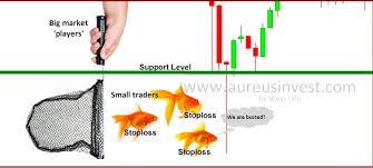 stop loss hunting