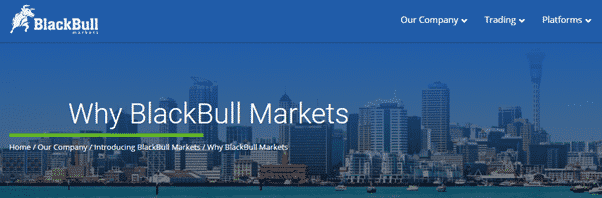 Part of BlackBull Markets Homepage