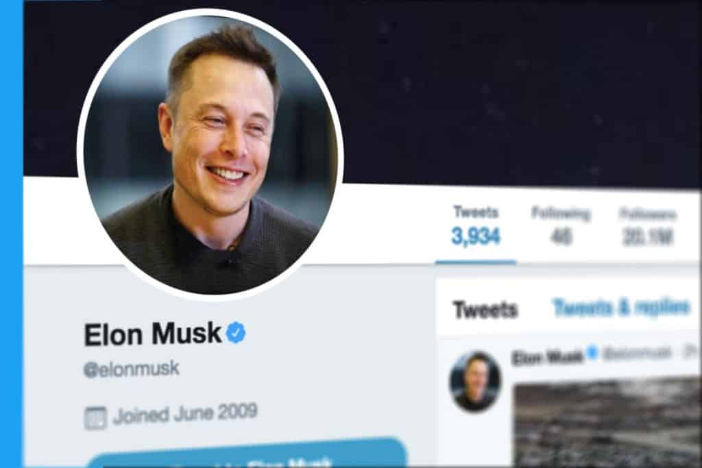 Elon Musk Twitter Profile