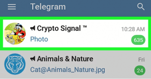 01 crypto scam telegram