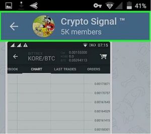 02 forex scam telegram