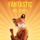 fantastic mr forex